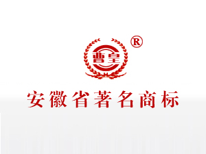 安徽玉井坊釀酒有限公司