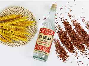 江蘇大曲酒業有限公司