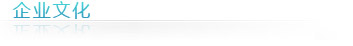 企業(yè)文化