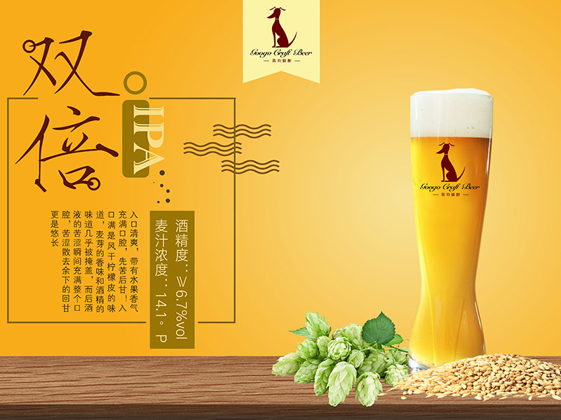 ߹pIPAơơ14.1㡿-ơϢ