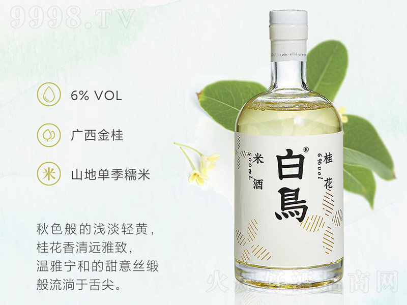 BŴ׾ƣƿ6 500ml-خaϢ