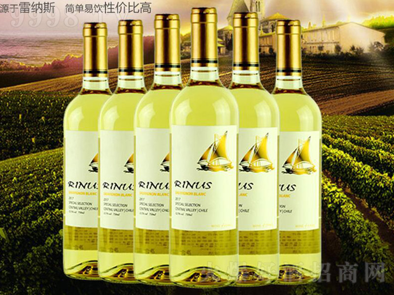 智利進(jìn)口精選長相思半干白葡萄酒【12.5° 750ml】
