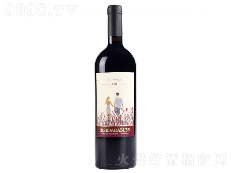 智利邁坡山谷情義520特級珍藏干紅葡萄酒2019【15° 750ml】