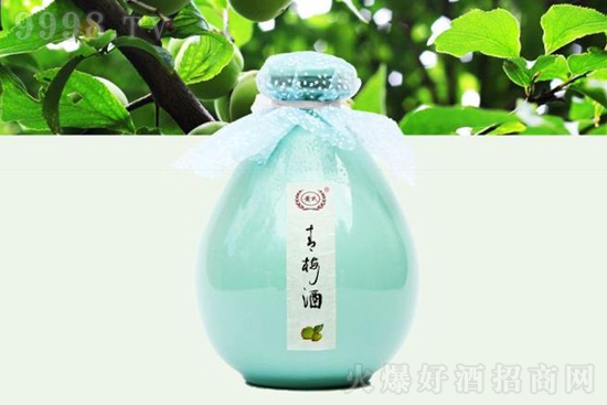 12SϻƃrS÷ƲʉͶȻ500mlrX