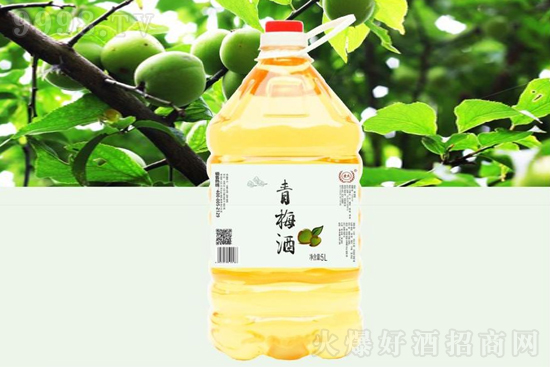 12Sϻƃr÷ŮʿͶȾֹ5Lr񣬶X