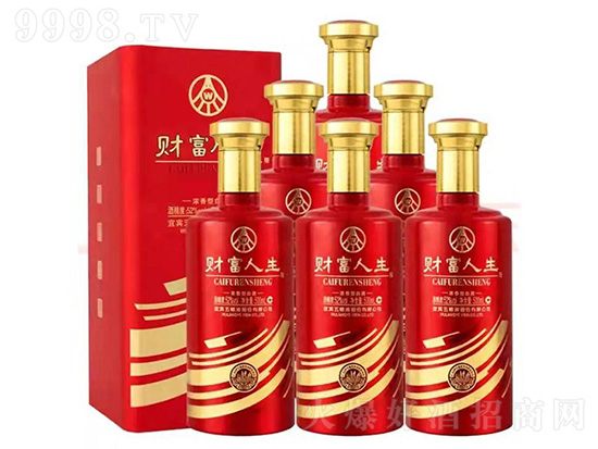 52°五糧液股份財富人生濃香型酒500ml價格,多少錢? 52°五糧液股份財富人生濃香型酒500ml價格,多少錢?