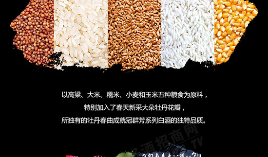 冠群芳十二生肖酒