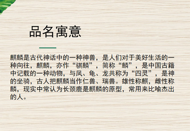 逸騏麟波爾多干紅葡萄酒