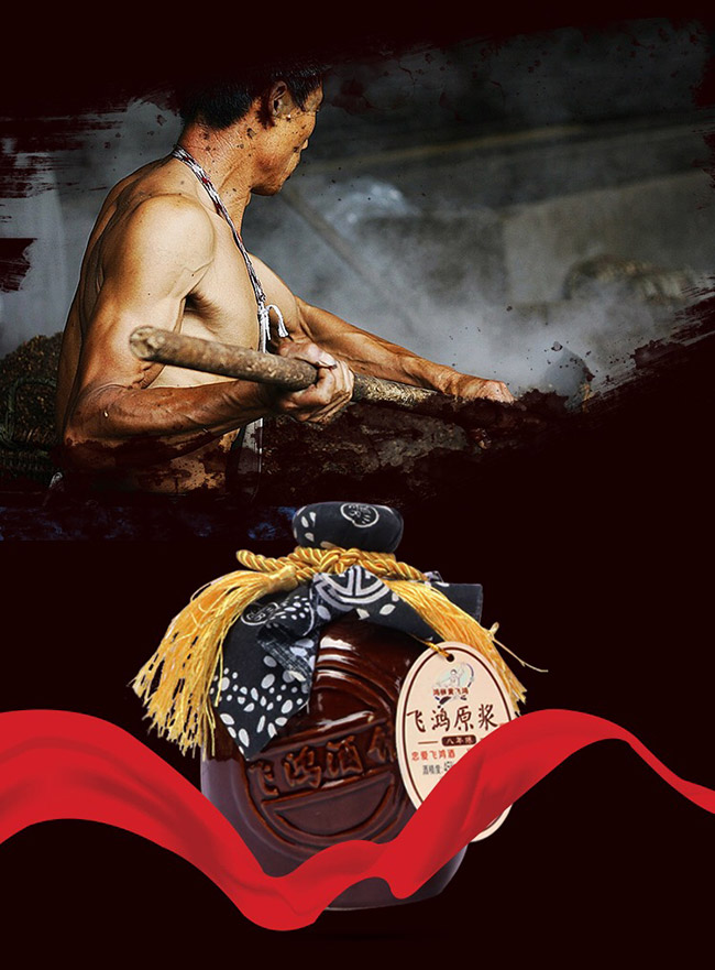 飛鴻原漿酒珍釀8 45°500濃香型白酒