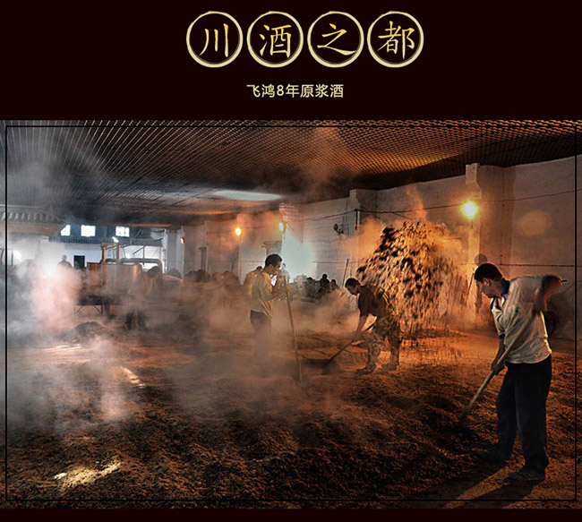 飛鴻原漿酒珍釀8 45°500濃香型白酒