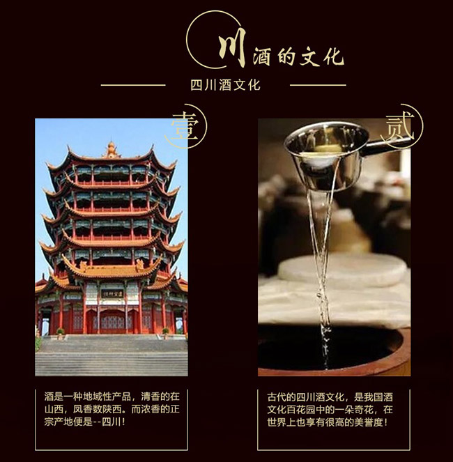 飛鴻原漿酒珍釀8 45°500濃香型白酒