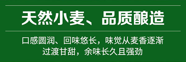 雁蕩山金尊啤酒330mlx6罐