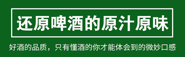 雁蕩山金尊啤酒330mlx6罐
