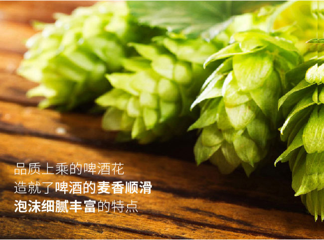 8090后啤酒·青春活力藍(lán)標(biāo)500ml