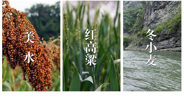 牛莊陳釀8純糧光瓶酒