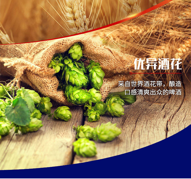 貝哈瑞黑啤500ml×12罐(箱)