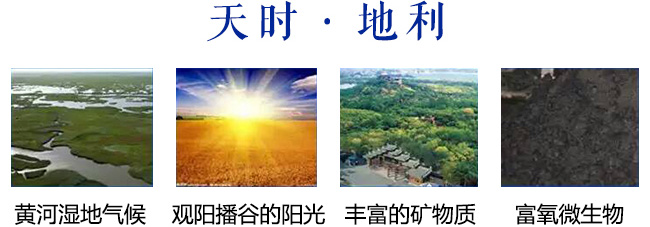 景陽岡百年窖藏38度500ml濃香型白酒