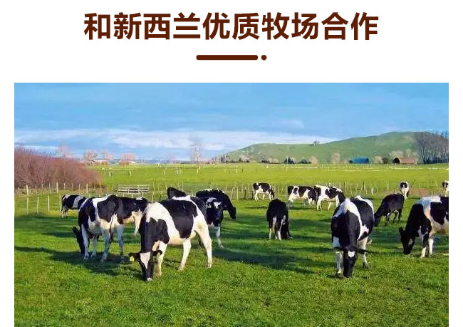 初飲炭燒酸奶飲品【300g】