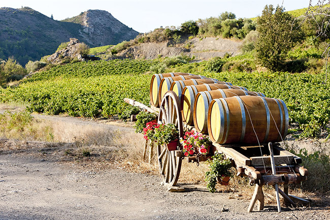 如色添魄半甜紅葡萄酒【12° 750ml】