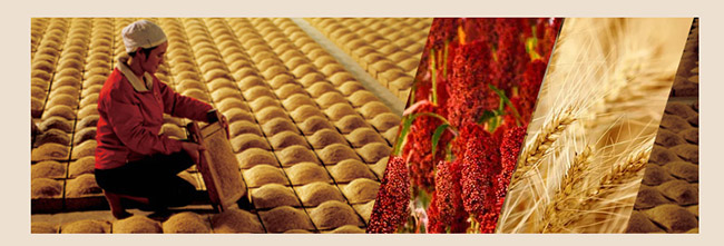 懷莊·尊隆匠(天尊)