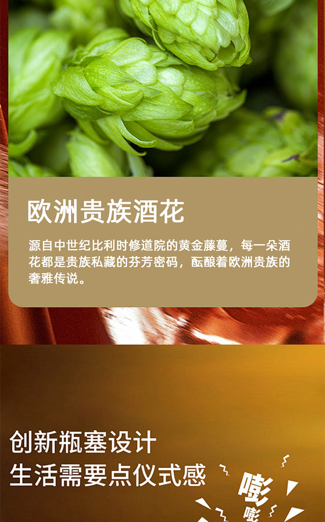 蒙迪貓·修道院啤酒【23.9° 750ml】